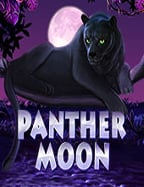 sa gaming ทดลอง เล่น ฟรี: วิธีเล่นไม่ให้พลาด